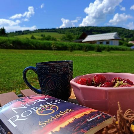 Pokoje Goscinne U Olguni Chyrowa Exterior foto