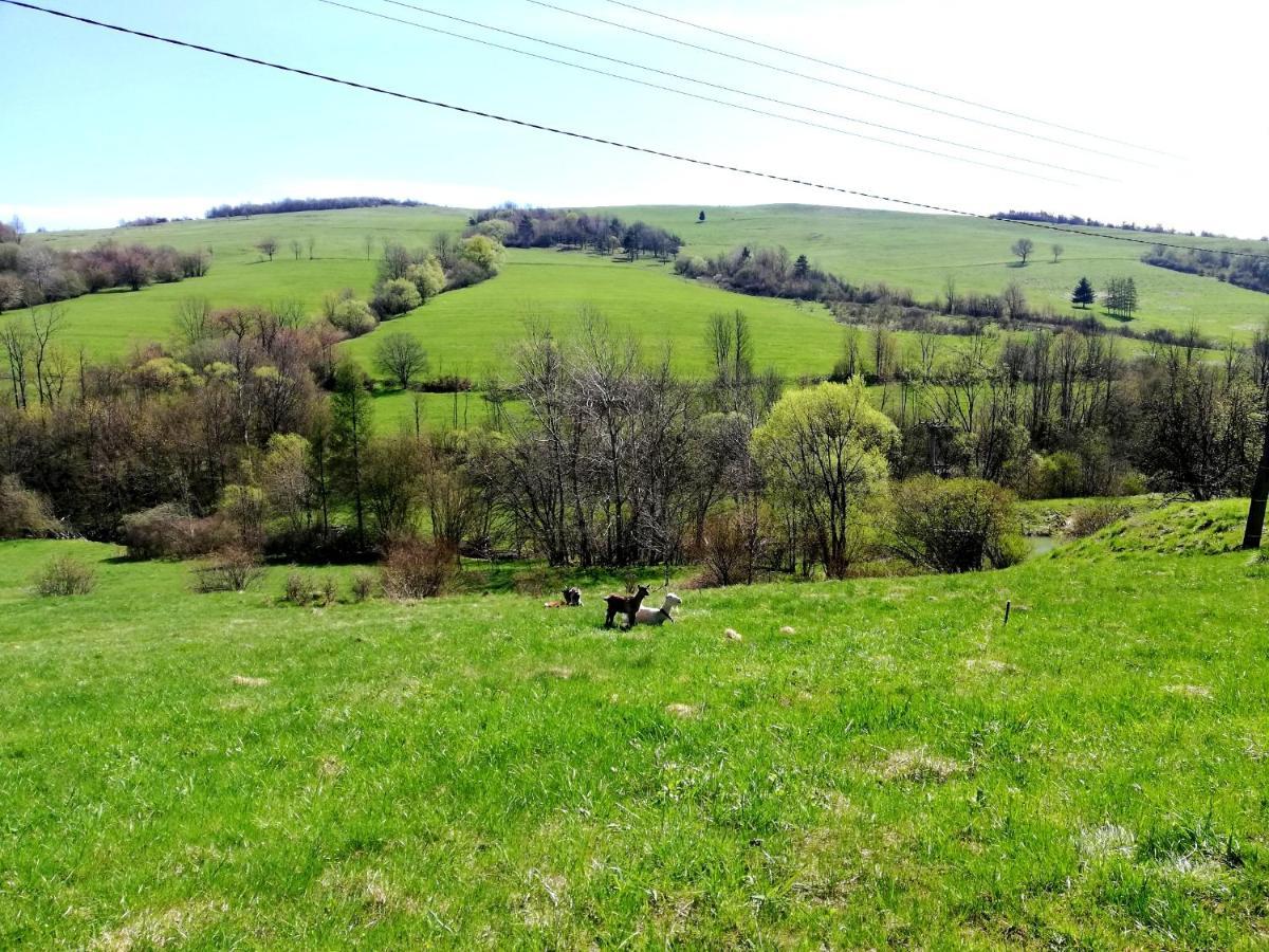 Pokoje Goscinne U Olguni Chyrowa Exterior foto