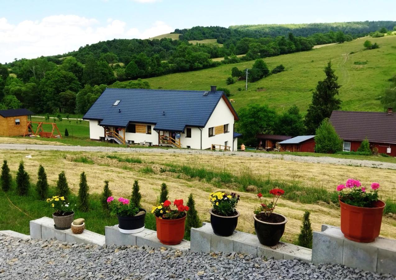 Pokoje Goscinne U Olguni Chyrowa Exterior foto