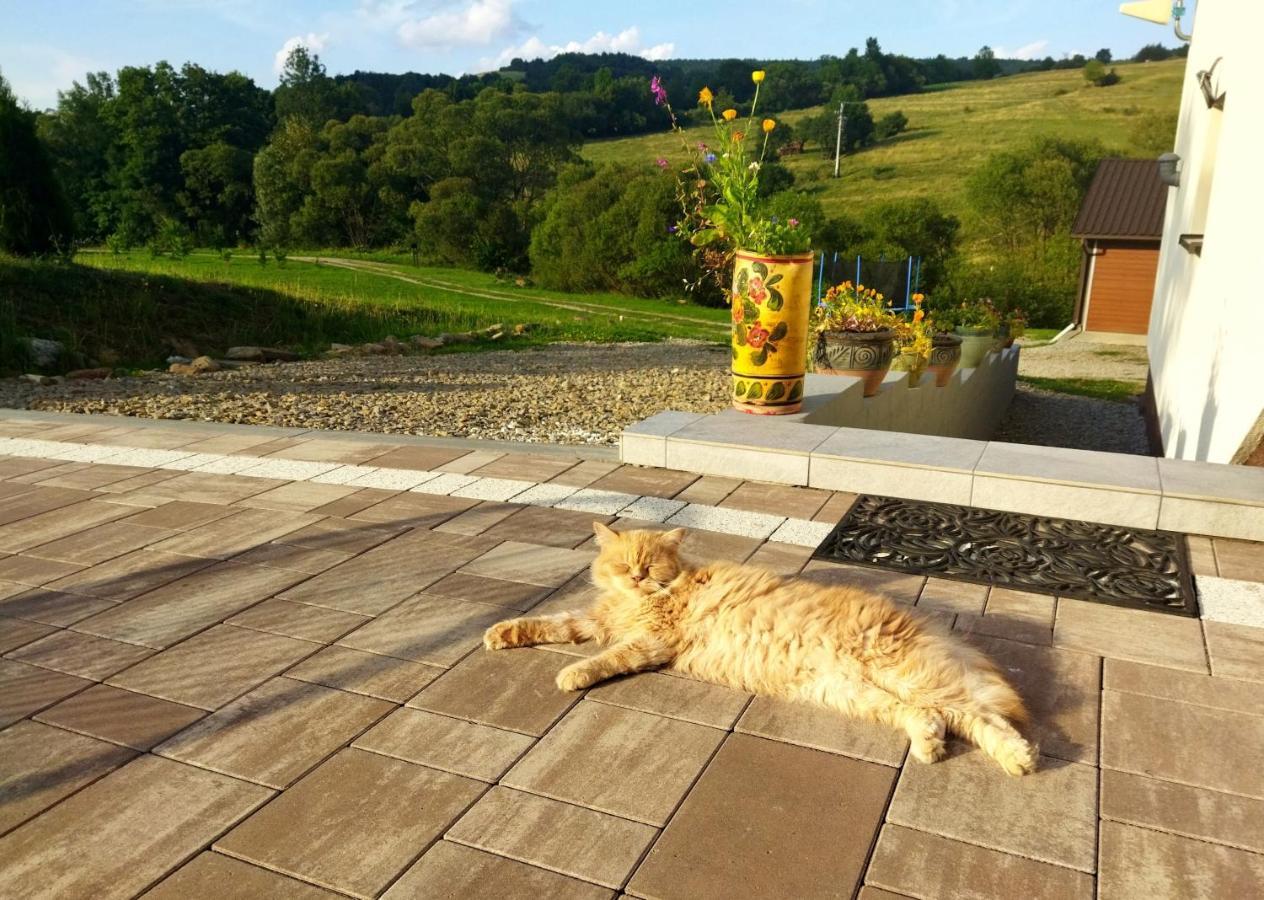 Pokoje Goscinne U Olguni Chyrowa Exterior foto