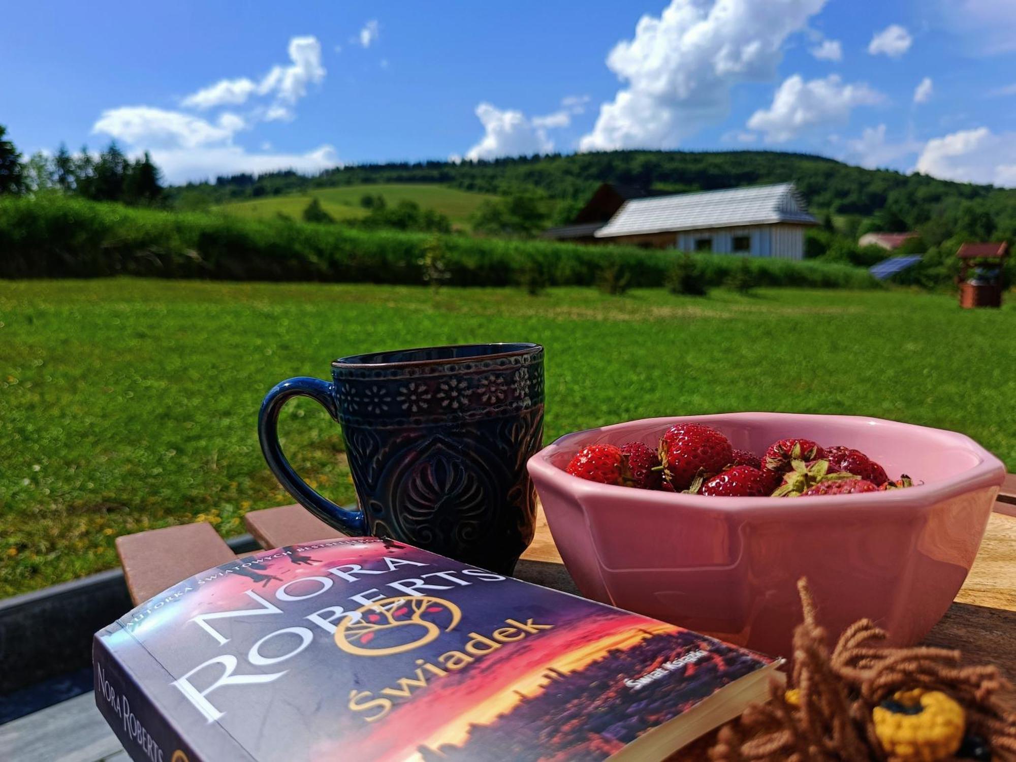 Pokoje Goscinne U Olguni Chyrowa Exterior foto